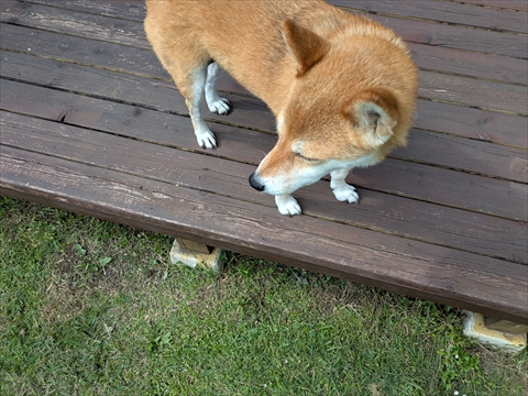 茅野市外壁カバー工法　お客様インタビュー